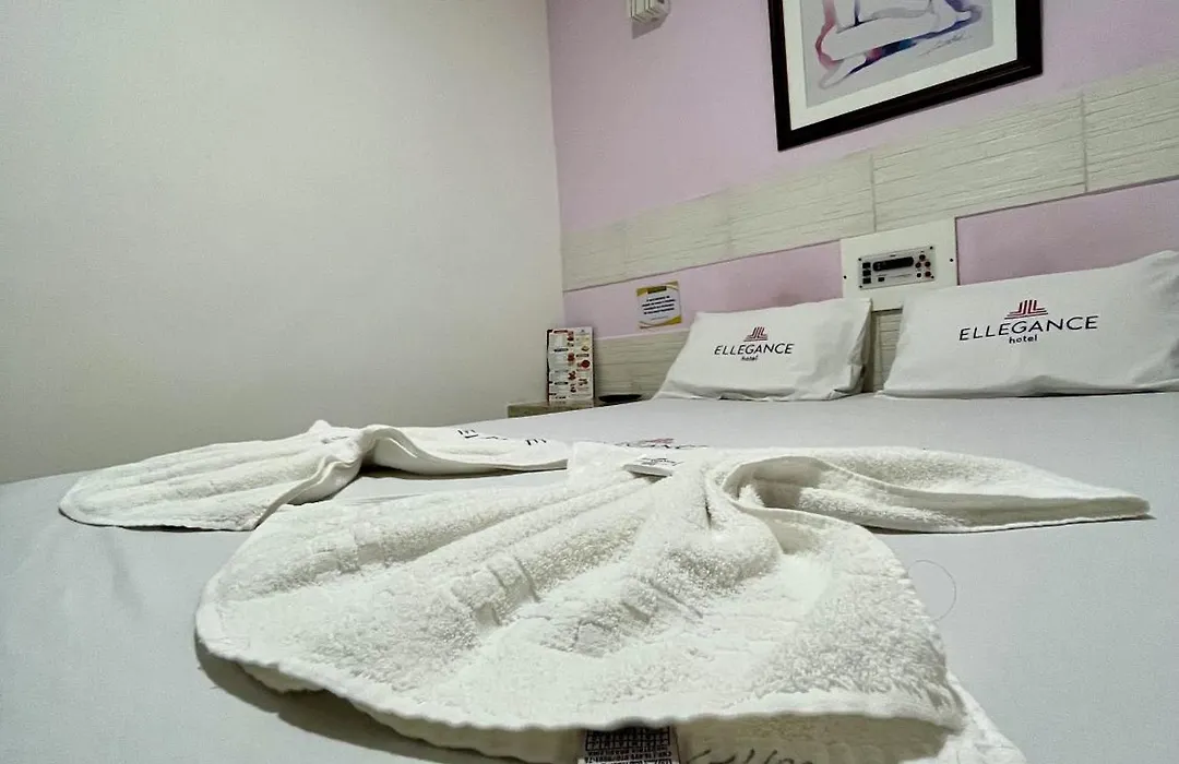 Hotel Ellegance-1